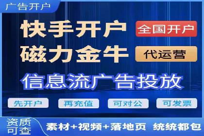 搜索引擎优化（SEO）与竞价广告（SEM）的对比案例